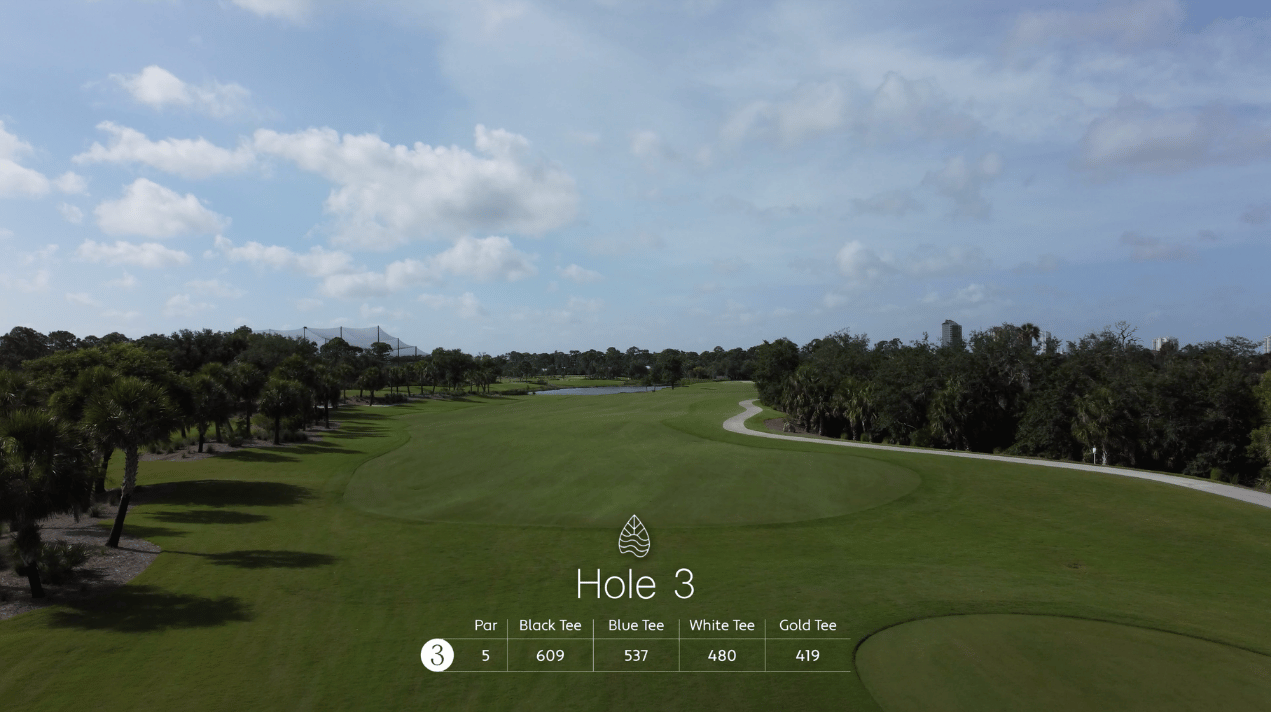 An aerial view of the championship golf course at Saltleaf Golf Preserve in Bonita Springs, surrounded by palm trees.