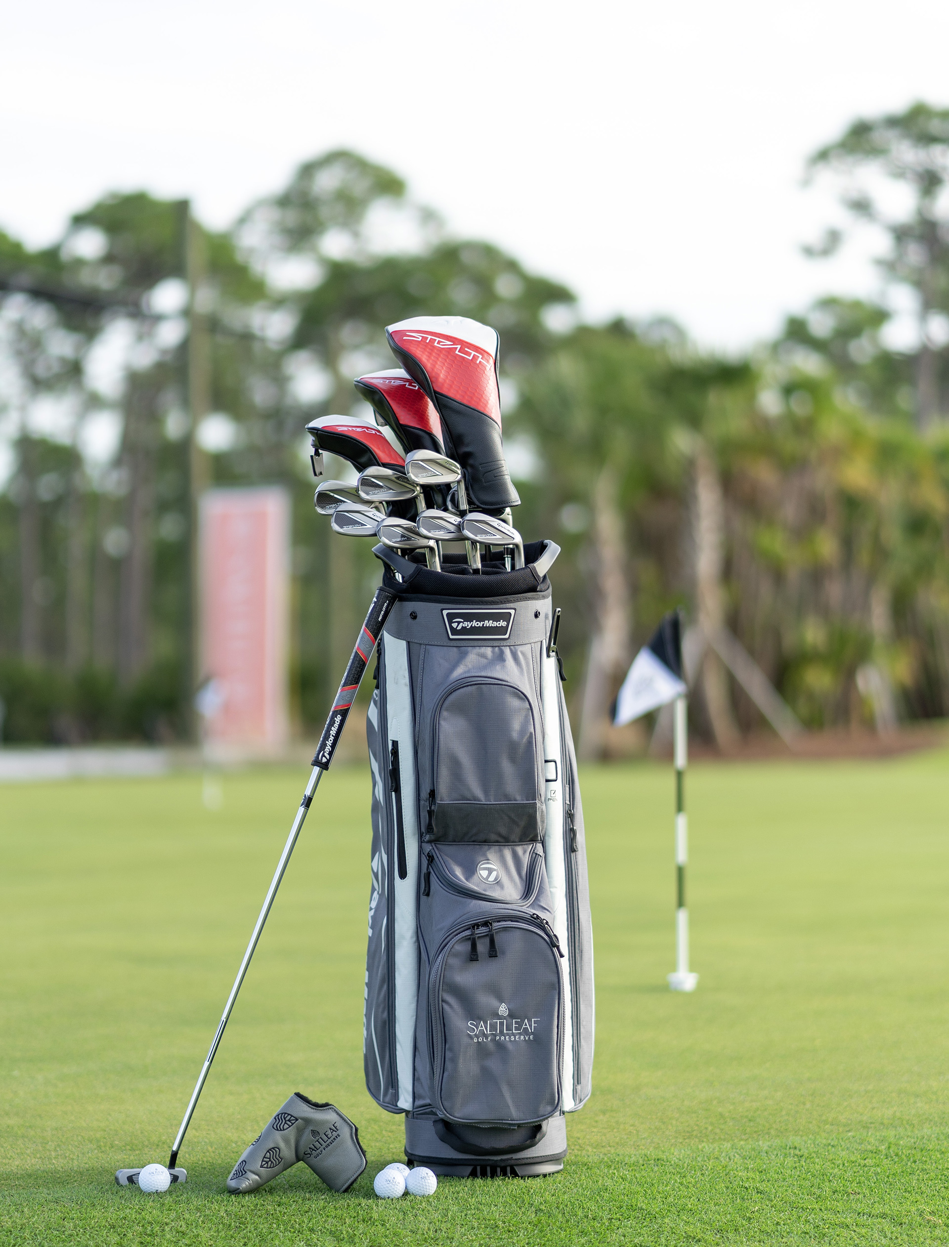 A golf bag adorned with clubs, ready for a round at the Saltleaf Golf Preserve in Bonita Springs.