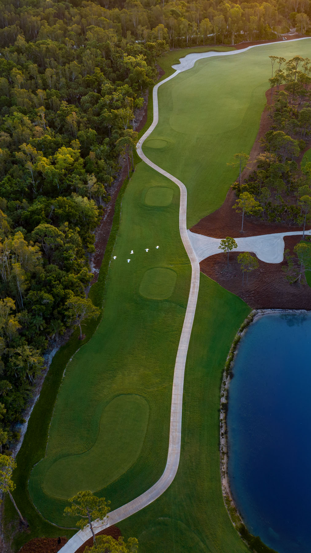 Aerial view of a golf course with a winding path, green fairways, water hazard, and adjacent forest. A group of white birds is present on the fairway.