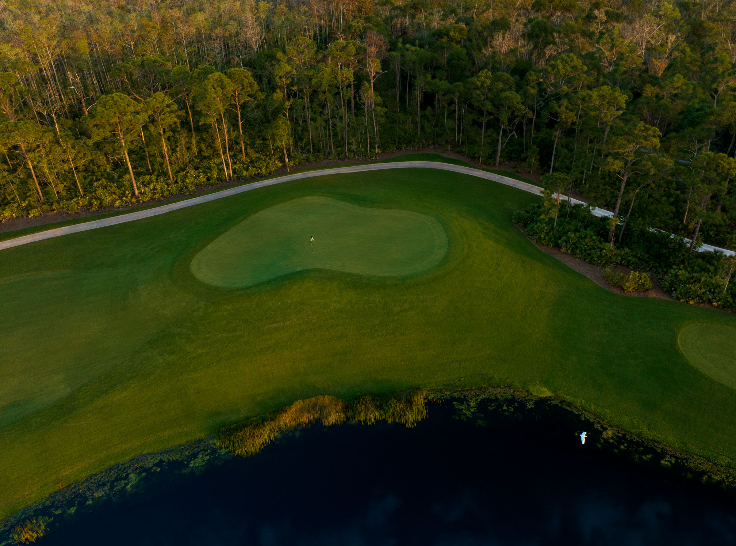 Aerial view of a golf green surrounded by trees, with a golf hole flag in the center. A cart path runs nearby, and a body of water borders the bottom edge of the image.
