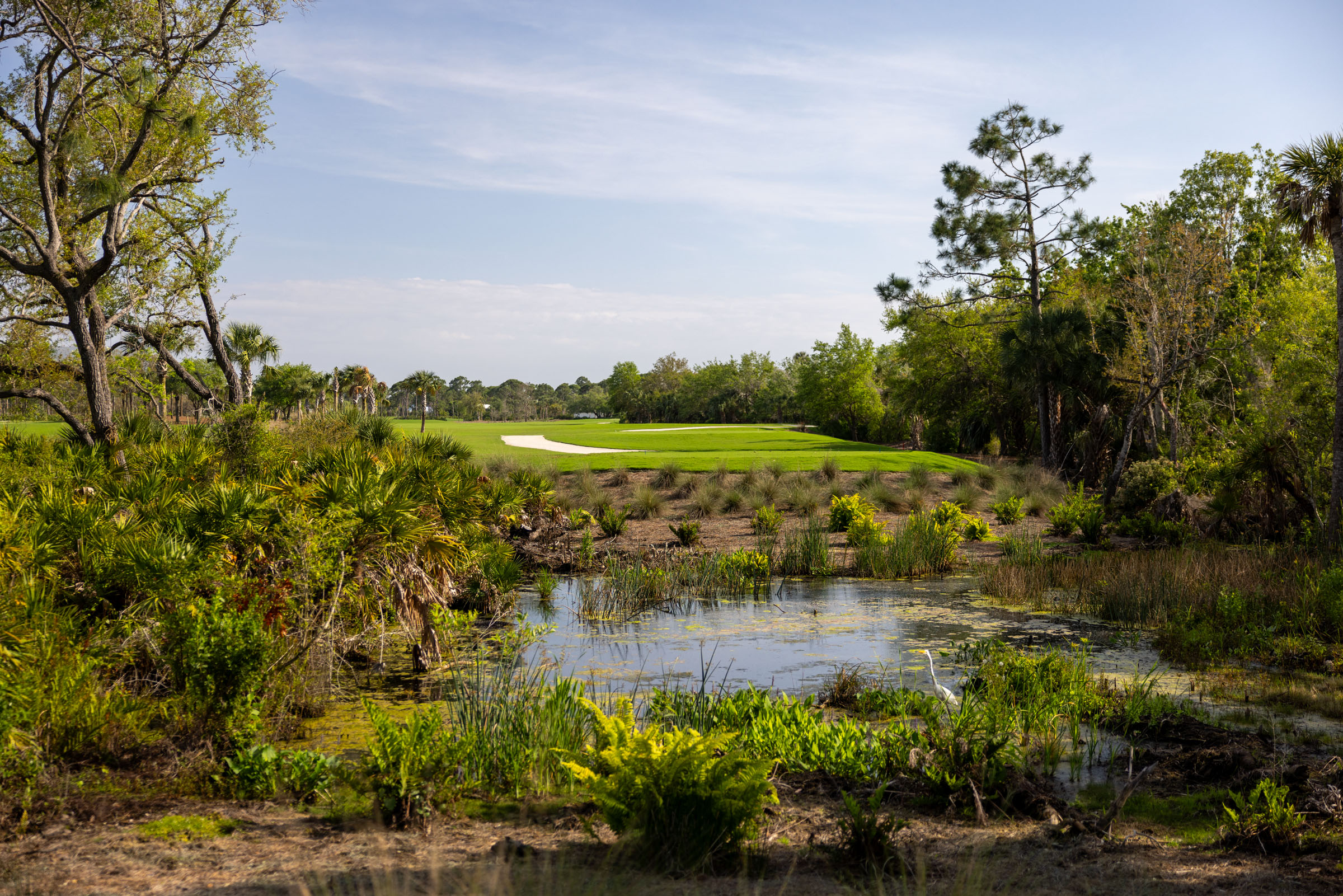 A vibrant green golf course with a sand trap in the distance, surrounded by lush trees and vegetation, overlooking a small water hazard in the foreground.