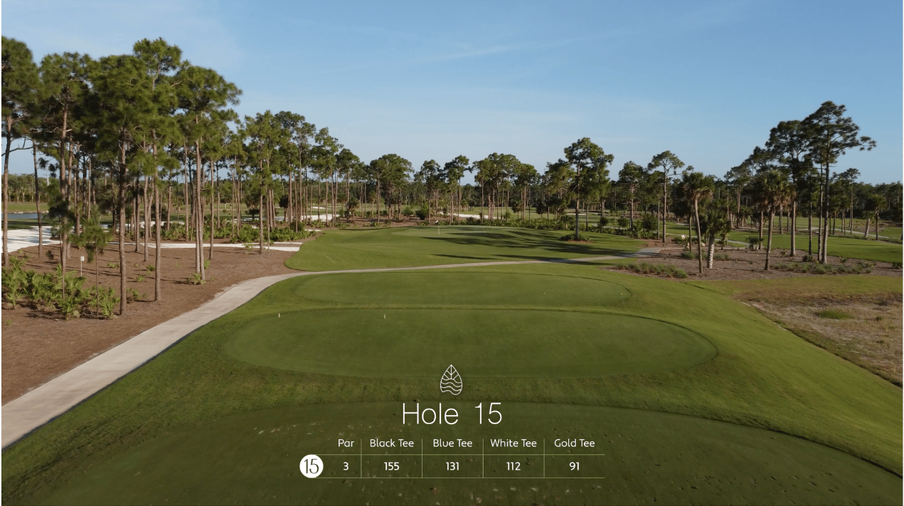 A golf course view of Hole 15, showing the tee boxes, fairway, and surrounding trees, with hole information displayed at the bottom of the image.